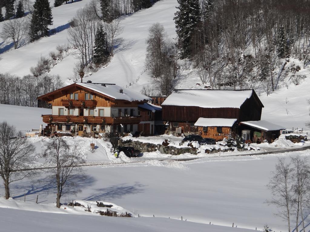 Stanglehen Villa Митерзил Екстериор снимка